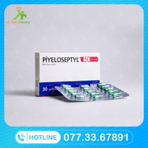 Thuốc PIYELOSEPTYL 50mg (Nitrofurantoin) Mua Ở Đâu Giá Bao Nhiêu?